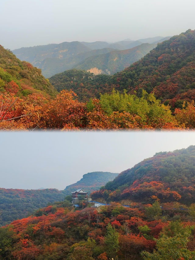 鄭州1h直達！0元賞紅葉的“小長城”美哭了