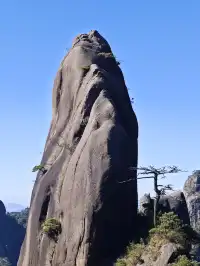 三清山的淡季青綠，比五嶽更懂打工人的放空