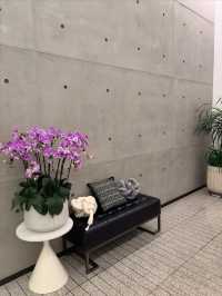 1903的絕美打卡地