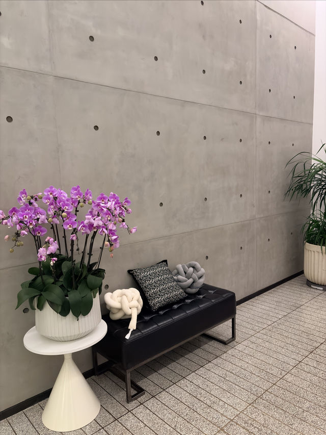 1903的絕美打卡地 1903的絕美打卡地