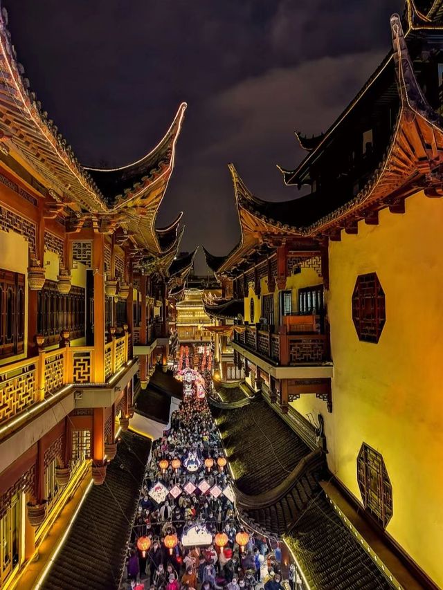 秋遊上海包車遊尊享愜意時光