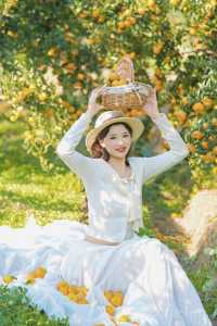 週末遛娃必去橘子園