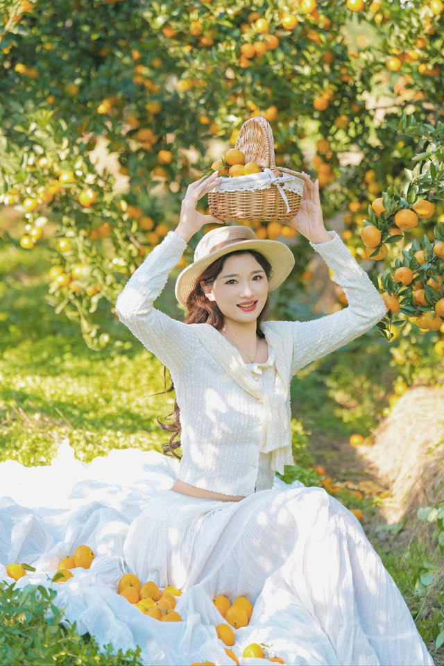 週末遛娃必去橘子園