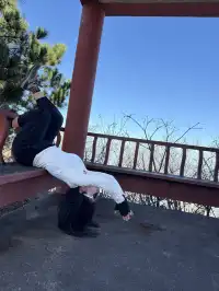 九華山偶遇的狗向導,超有靈性