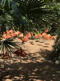 南京紅山，顛覆了我對動物園的認知(͒ ⓿ᴥ⓿ )͒