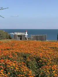 大西北你真的有點厲害!青海湖隨手拍都美!