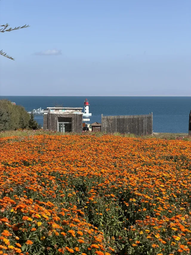 大西北你真的有點厲害!青海湖隨手拍都美! 大西北你真的有點厲害!青海湖隨手拍都美!