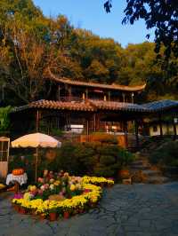 常熟虞山古城牆|漫步城牆邂逅絕美日落!私藏秋日神仙機位