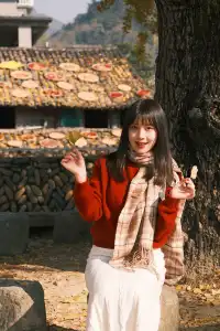 永嘉銀杏王超出片機位!!!