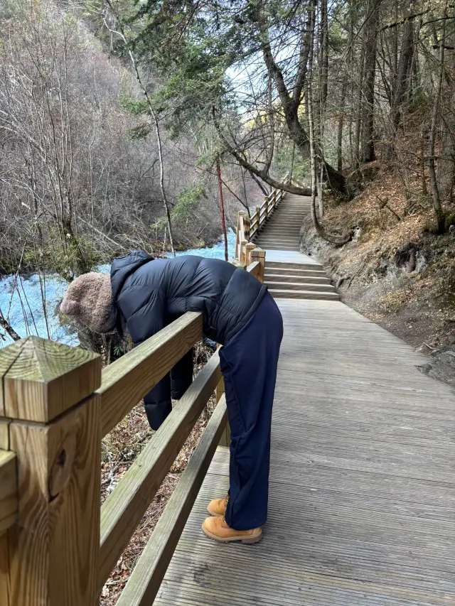 Dec 7 Jiuzhaigou Status: Overwhelmed, Let's Be Honest