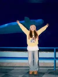 好天氣千萬別宅家,一站式度假體驗誰不愛!