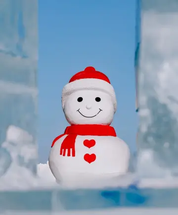 겨울 한정 5일간 하얼빈 완벽 가이드