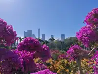 登頂深圳蓮花山：城市綠肺中的登頂之旅