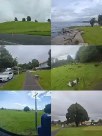 奧克蘭citywalk及周邊景點從夯到拉