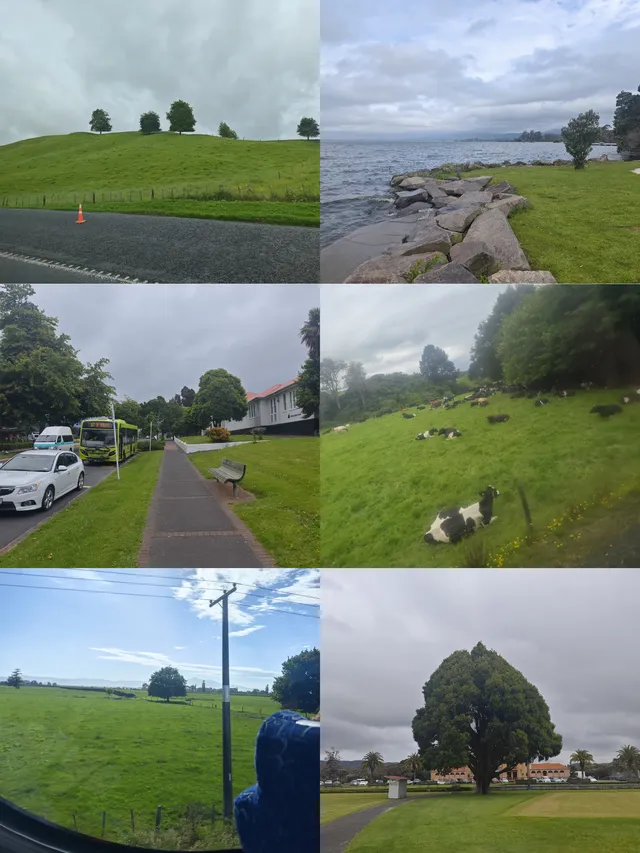 奧克蘭citywalk及周邊景點從夯到拉