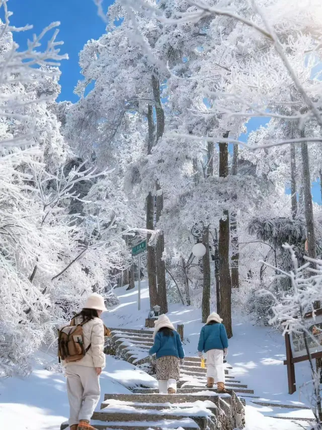 江西廬山要下雪了鎖定12月16-17號