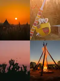 蘇州陽澄湖｜帶快樂小狗來草坪撒歡打滾