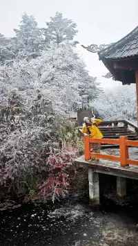 12.4實拍峨眉山的霧淞美瘋了