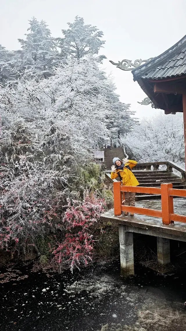 12.4實拍峨眉山的霧淞美瘋了