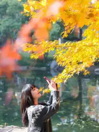 12.1實拍!東湖這棵彩虹樹封神了