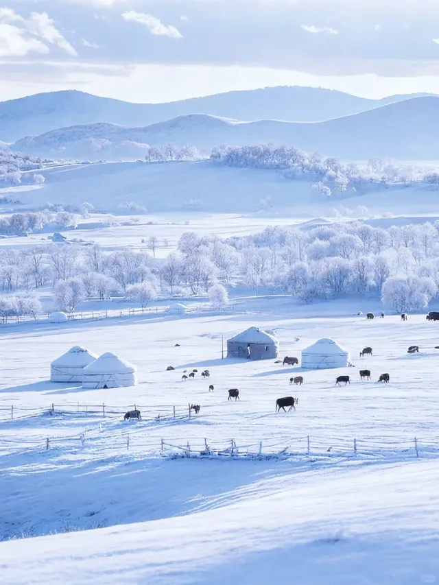 放棄哈爾濱了,帶娃衝高鐵直達的烏蘭布統 放棄哈爾濱了,帶娃衝高鐵直達的烏蘭布統