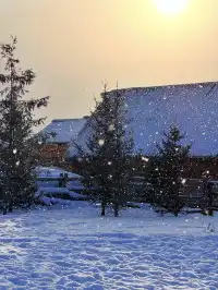 11.28喀納斯+禾木現狀性價比拉滿冬日童話