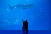 2歲寶寶珠海長隆之旅🩵