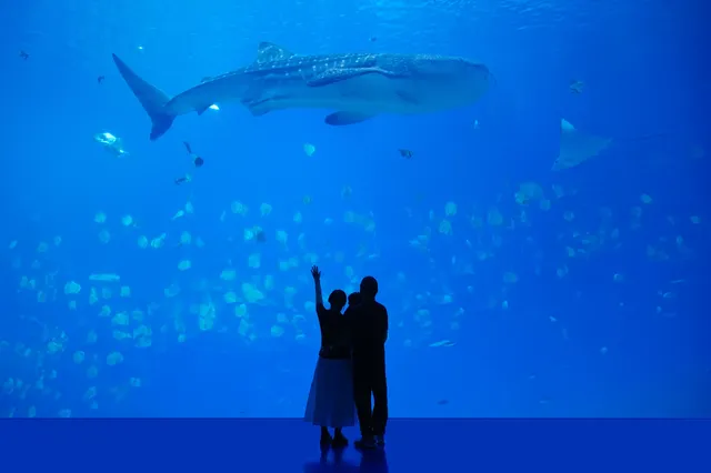 2歲寶寶珠海長隆之旅🩵 2歲寶寶珠海長隆之旅🩵