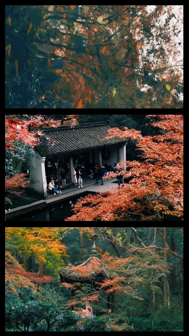 吊打京都沒人告訴我杭州的秋天這麼頂啊 吊打京都沒人告訴我杭州的秋天這麼頂啊