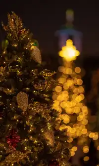 香港|12月,期待日落晚風中的海邊聖誕樹