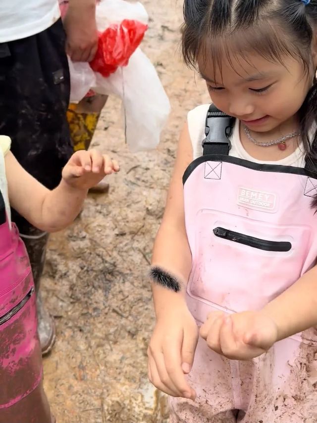 二次遊版納！一點都不累！小朋友說比迪士尼更好玩。