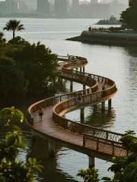 深圳福田紅樹林冬季親子遊 免費遛娃天花板！