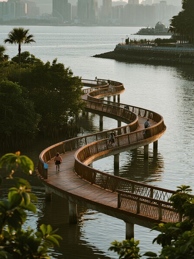 深圳福田紅樹林冬季親子遊 免費遛娃天花板！