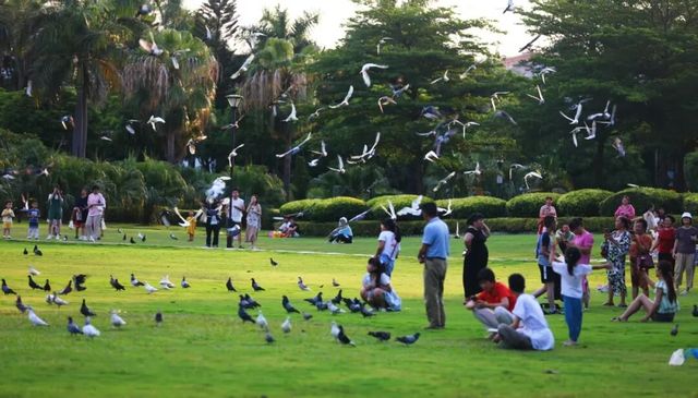 廈門版「瘋狂動物城」上線!山林湖海間,藏著人與自然共生的浪漫 廈門版「瘋狂動物城」上線!山林湖海間,藏著人與自然共生的浪漫