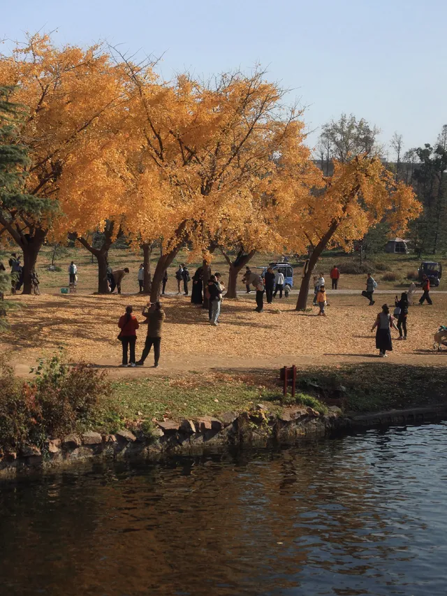 12.6共青森林公園橙黃橘綠時(附路線) 12.6共青森林公園橙黃橘綠時(附路線)