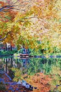 魔都市中心的“小京都”!延中廣場公園秋日拍照封神攻略