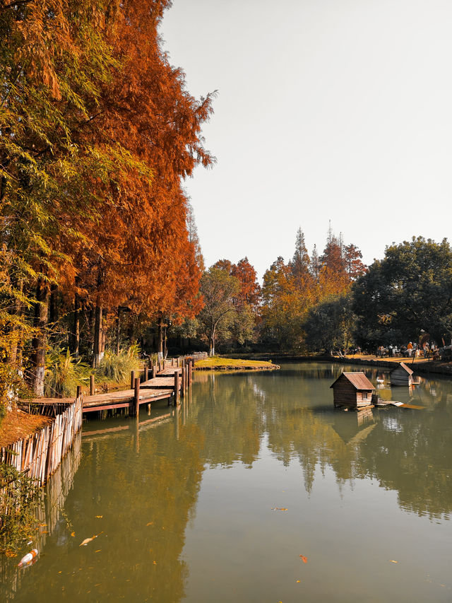 烏村(景色篇)照片太多,20張都不夠發 烏村(景色篇)照片太多,20張都不夠發