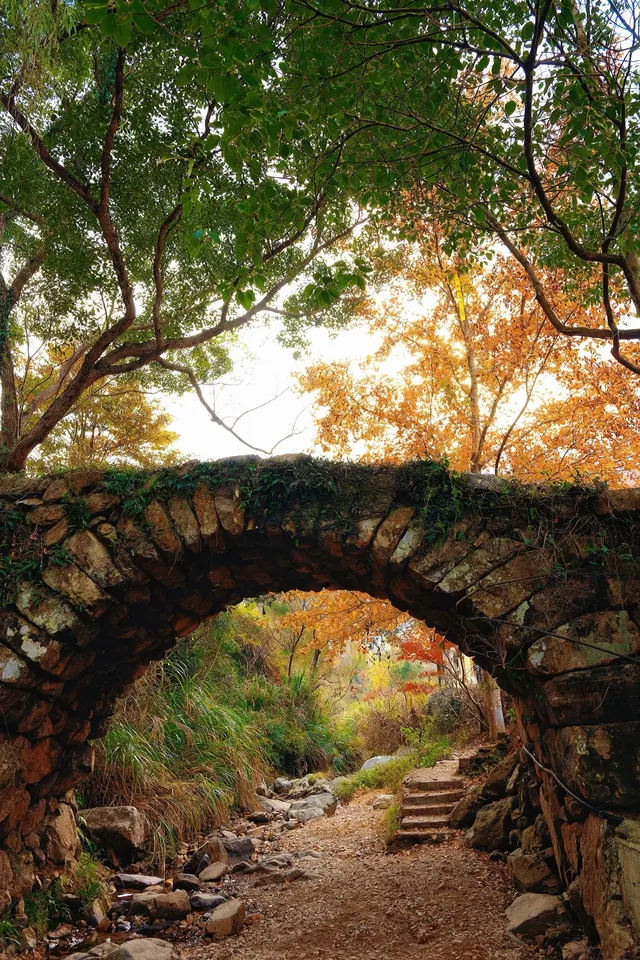 台州賞秋封神4條徒步路線建議收藏~ 台州賞秋封神4條徒步路線建議收藏~