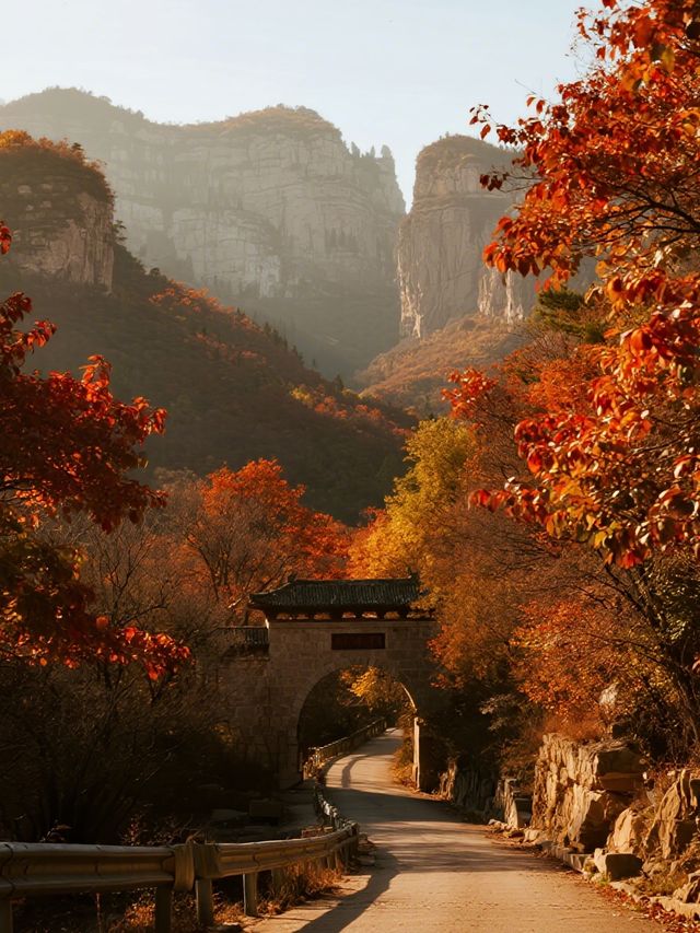 石門坊親子紅葉季！帶娃沉浸式感受秋日浪漫