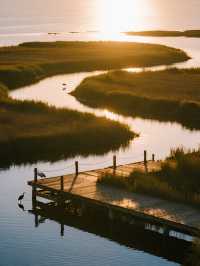 星空帳篷裡學做小漁民!東灘濕地邊的自然營地