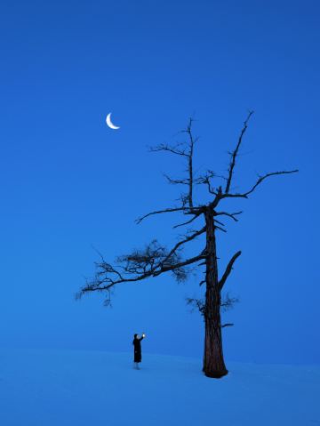 For this lonely tree, I traveled over 3,000 kilometers to Baihaba