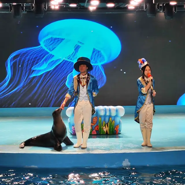 淘學企鵝上線！極地公園超全攻略