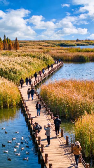 Exploring Laoyuhe with Kids｜Healing Two Days of Playing in Water, Catching Fish, and Watching the Sunset