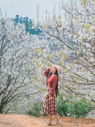 운전해서 윈난 여행｜빨리 자지짜이로 와서 배꽃 골짜기의 요정이 되어보세요!