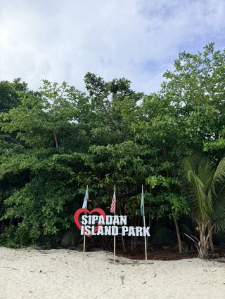 Diving Heaven 🩵 Sipadan.