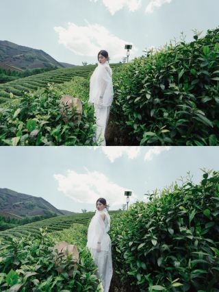 ไร่ชาอันจี๋ | จดหมายจากภูเขาชา