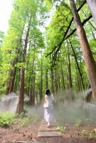 週末出逃南沙｜住泊隱宜悅，逛天后路超美
