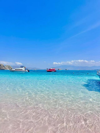 Pantai Pink yang Romantis & Bertemu Komodo Liar di Hutan.