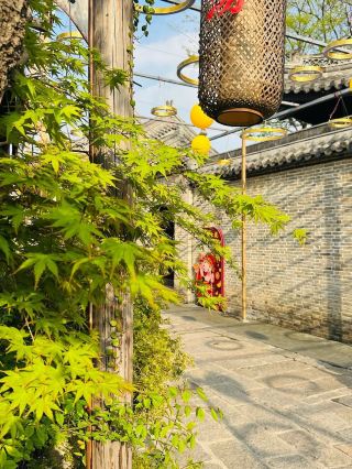5-day salt city–taizhou lazy travel guide to copy directly