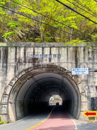 東京の秘境｜鳩ノ巣渓谷から白丸魚道へ、深い山の中に隠れた森系癒しの旅